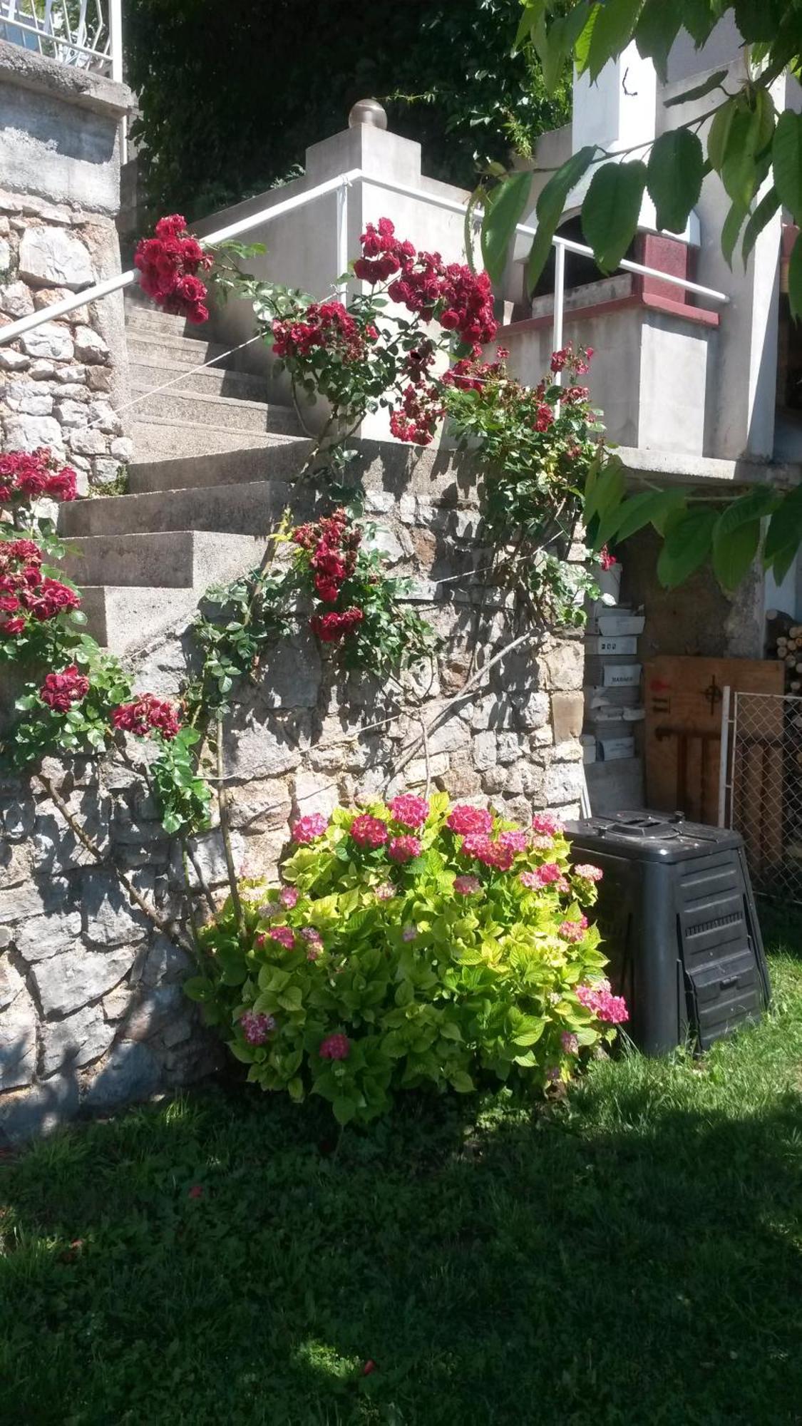 Apartmani Silvana&Vera Senj  Exteriér fotografie